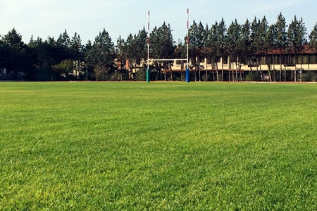 campo-rugby